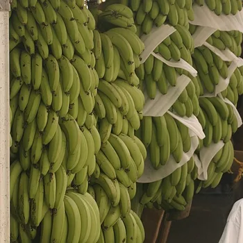 Baked Sweet Ripe Plantains (Maduros)