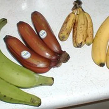 موز أصفر