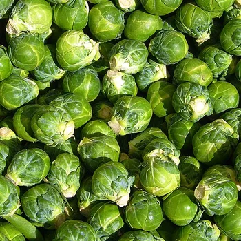 Spruitjes