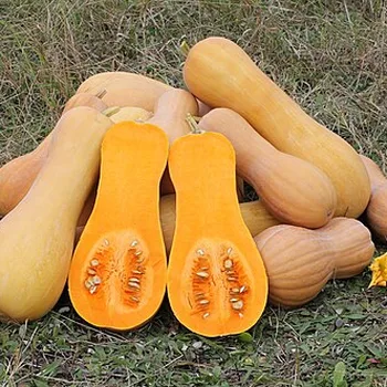 Flespompoen