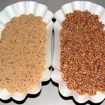 Cooked Ancient Whole Amaranth Grain