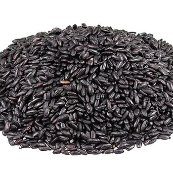 Cooked Thai Forbidden Black Rice