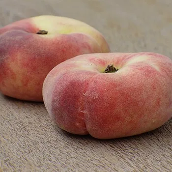 Platte perzik (Paraguayo)