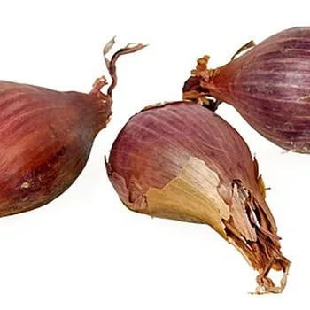 شمر طازج عطري (بسباس)