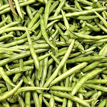 Green Bean Stew