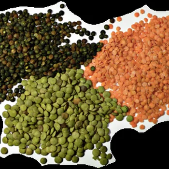 Indiase dal soep