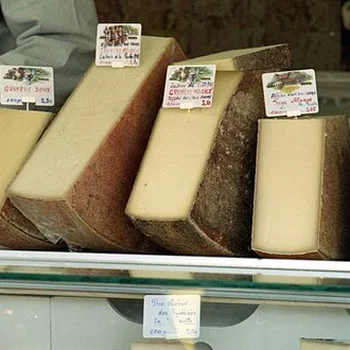 Fontina Cheese