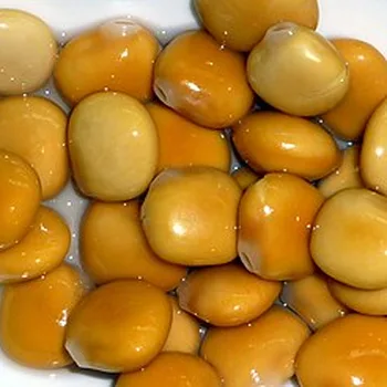 Lupini Beans