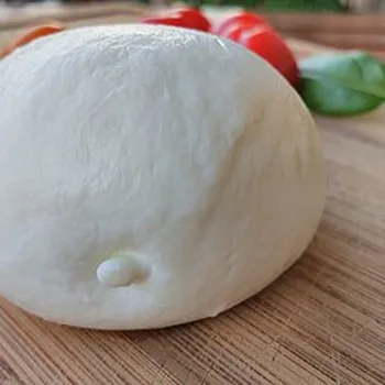جبنة موزاريلا