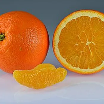 برتقال أبو صرة