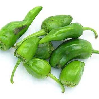 Padrón Peppers in Olive Oil