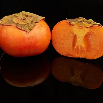 Persimmon (Kaki)