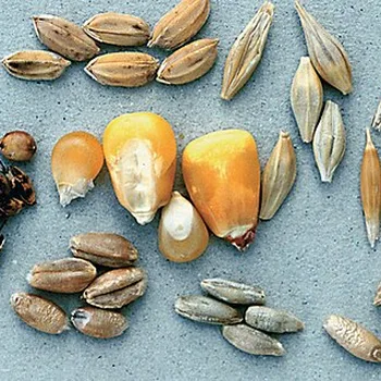 Puffed Whole Brown Rice Cereal