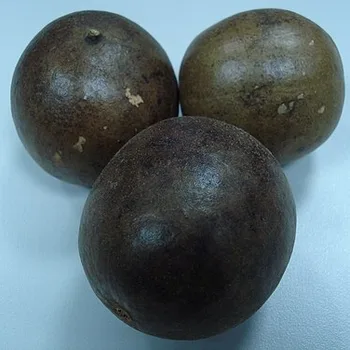محلي فاكهة الراهب (Monk Fruit)