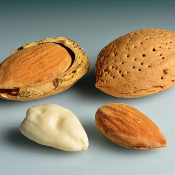 لوز نيء