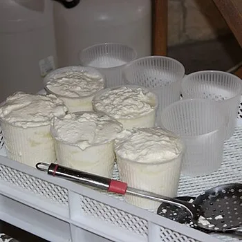 Ricotta Salata