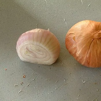 Shallots