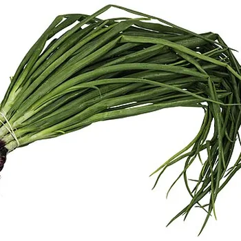 Spring Onions (Scallions)