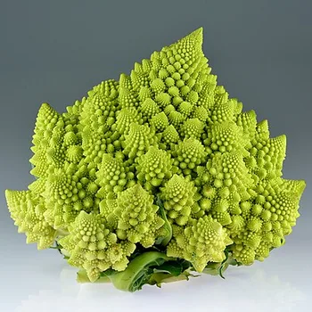Steamed Romanesco
