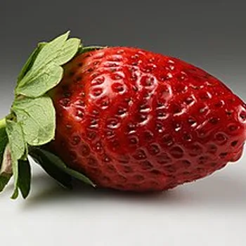فراولة طازجة