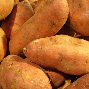 بطاطا حلوة مشوية
