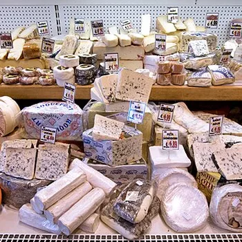 Taleggio Cheese