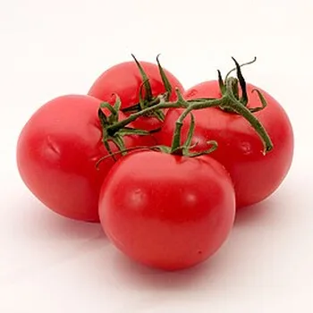بندورة طازجة