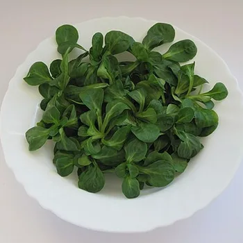 Tonijnsalade met maïs