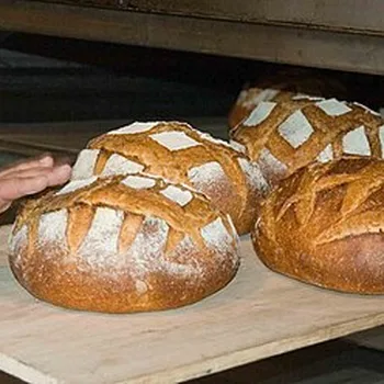 Whole Ground Oat Flour for Baking