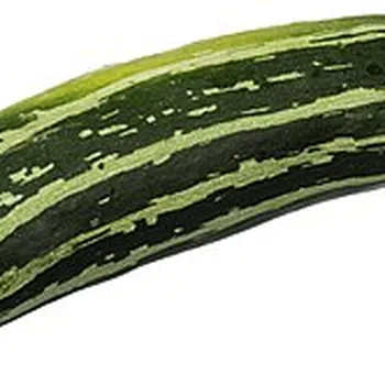 كوسا طازجة